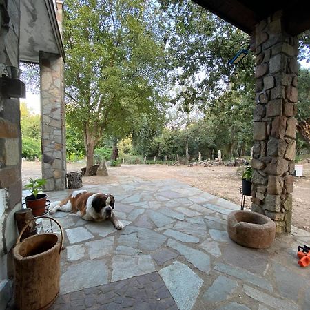 Agriturismo Pranu Sorgono Esterno foto