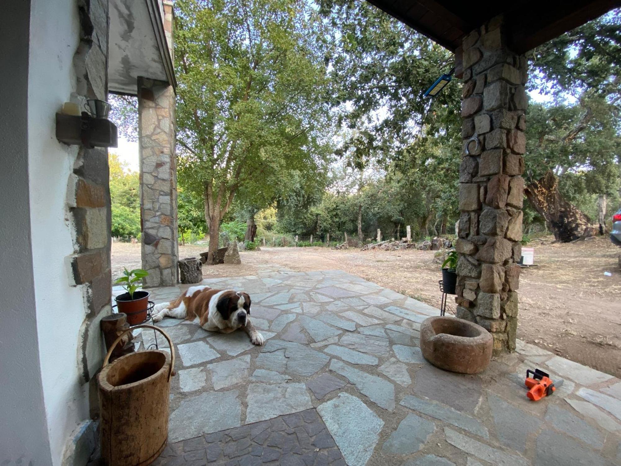 Agriturismo Pranu Sorgono Esterno foto