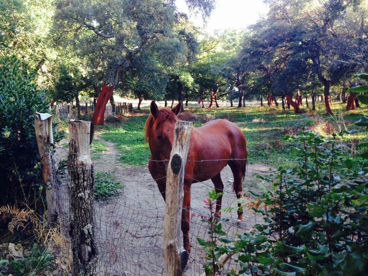 Agriturismo Pranu Sorgono Esterno foto