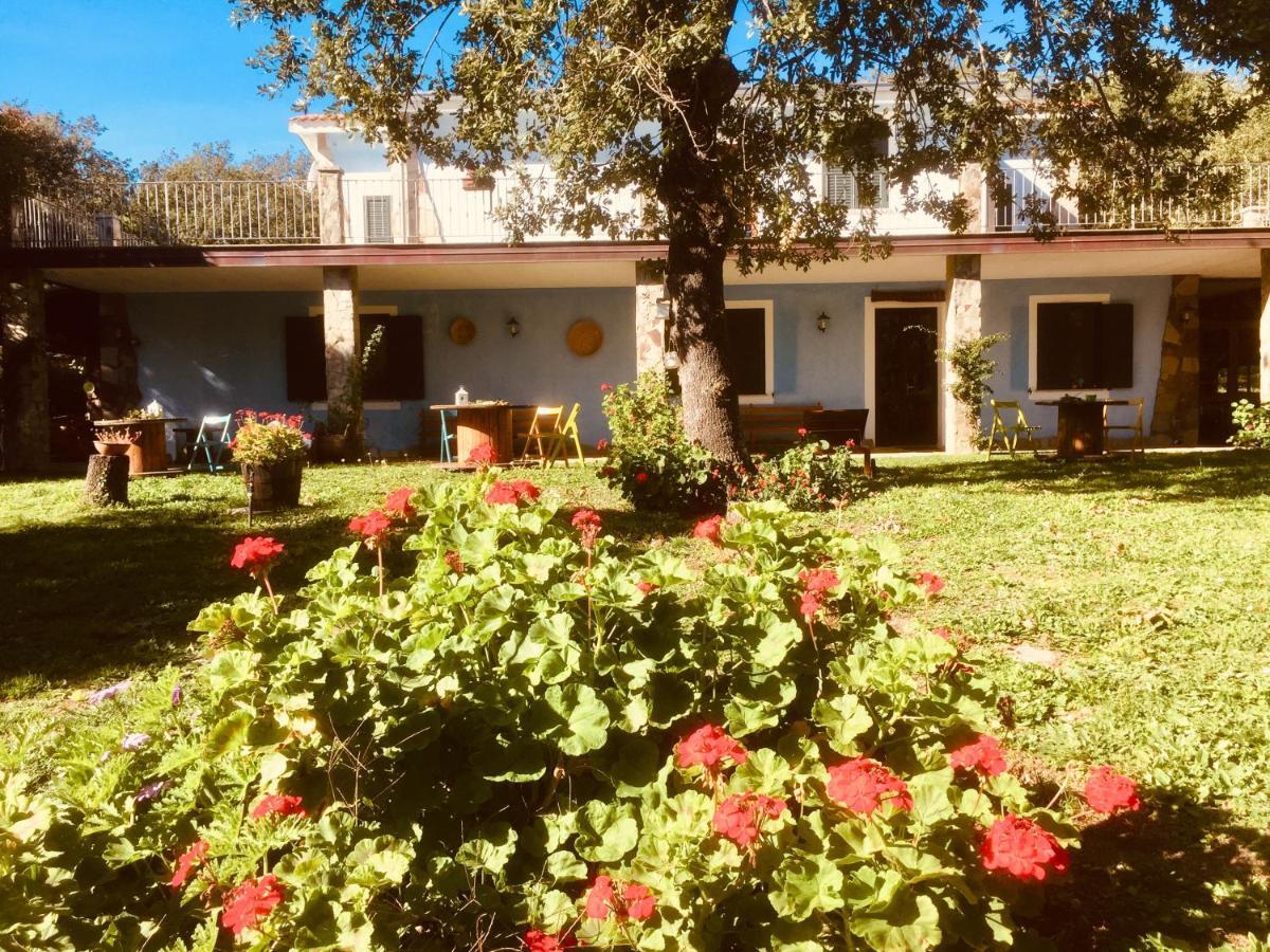 Agriturismo Pranu Sorgono Esterno foto